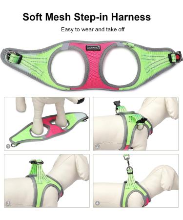 Doramio Reflective Dog Harness for Small Dogs & Cats - Breathable Step-In Leash & Safety Gear (XXS Rose Red) - Buy Online on GoSupps.com