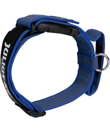 Julius-K9 Adjustable Neck Band with Handle | Color & Gray 40mm (38-53cm) | Safe Closure & Logo - Shop Now! - Buy Online on GoSupps.com