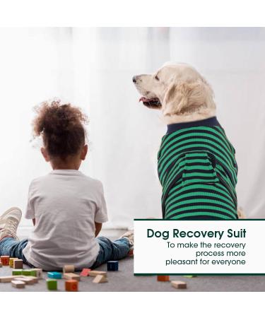 Kuoser Breathable Dog Surgery Recovery Bodysuit | Leak Protection & Wound Licking Prevention for Male & Female Dogs - Green Striped (1 Pack) - Buy Online on GoSupps.com