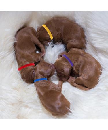 Molain 20 Pack Adjustable Puppy & Kitten Neck Bands - ID Straps for Small Pets | Perfect for Newborns - Buy Online on GoSupps.com