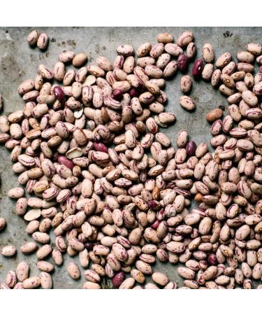 Cranberry Beans Borlotti Beans Romano Beans Non-GMO Product of Canada 2.5 kg (5.5 lb) - Buy Online on GoSupps.com