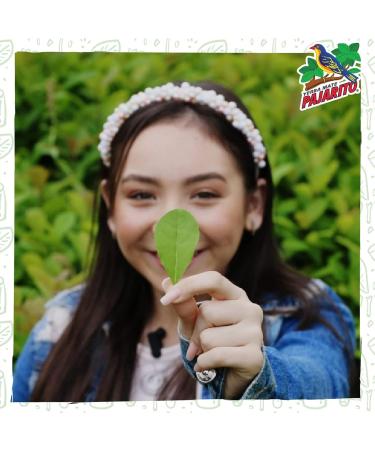 Yerbee Yerba Mat Thee Set Pajarith Organic 500g Mats Thea Thea from Paragueuay Detox and energy drink Organic 05 chag - Buy Online on GoSupps.com