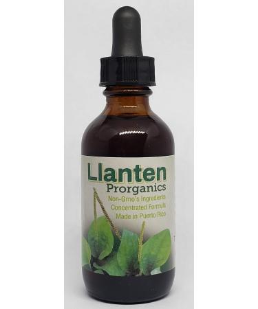 Plantain Llanten Mother Tincture Extract Organic (Plantago Major) Health Supplement Vegetable Glycerin Alcohol and Oil. (Vegetable Glycerin 1oz) Vegetable Glycerin 2 Fl Oz (Pack of 1)