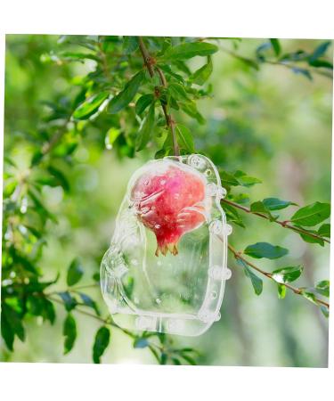 Yardenfun Fruit Shaping Mold Ginseng Cucumbers Multi-use Fruits Mold Vegetable Growing Mold Small Fruit Gourd - Buy Online on GoSupps.com