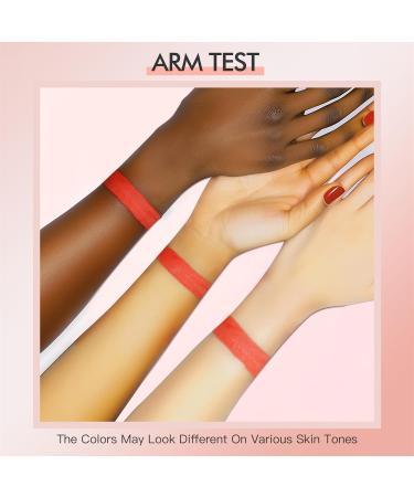 Matte Lipstick Finish Sweat-Resistant Black Rose Shade | Smudge-Proof Lipstick | For Beauty Travel Everyday Wear Evening Wear Women and Girls - Buy Online on GoSupps.com