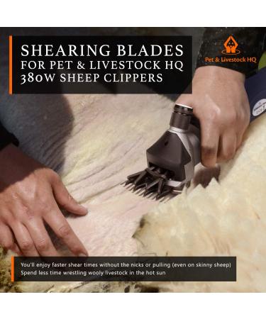 Pet & Livestock HQ | 380W Sheep Clippers - Replacement Blades for Oster Lister Heiniger Detachable Animal Trimmer Shears - Buy Online on GoSupps.com