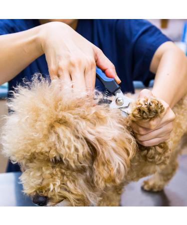 Dog Nail Clippers Dog Nail Clippers and Trimmer with Safety Guard to Avoid Over Cutting Professional Pet Nail Clippers with Nail File for Small Medium Large Breeds - Buy Online on GoSupps.com