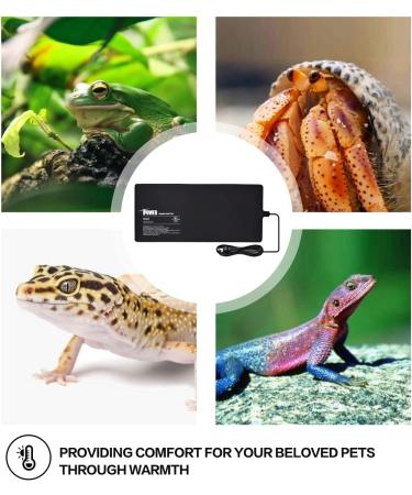 iPower Reptile Heat Mat + Hygrometer - Terrarium Heating Pad & Digital Thermostat for Amphibians & Reptiles - Buy Online on GoSupps.com