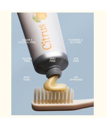 Revitin Toothpaste | Fluoride-Free Prebiotic Mint Tooth Gel | No SLS Gluten Free Dye Free GMO Free No Sweeteners | Non-Toxic Kid Approved Mint 3.4 Ounce (Pack of 1) - Buy Online on GoSupps.com