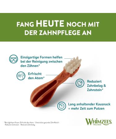 WHIMZEES By Wellness Toothbrush for Very Small Dogs | Natural Grain-Free Dental Chew Sticks | 48 Count Size XS - Best International Shipping - Buy Online on GoSupps.com