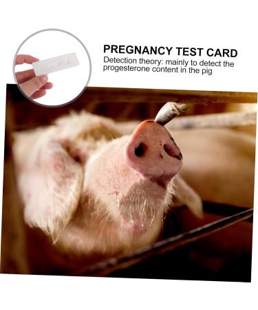 Buy Gatuida 2 Piece Pregnancy Test for Cattle | Vibrating Progesterone Test Paper | Essential Farm Accessories - Buy Online on GoSupps.com