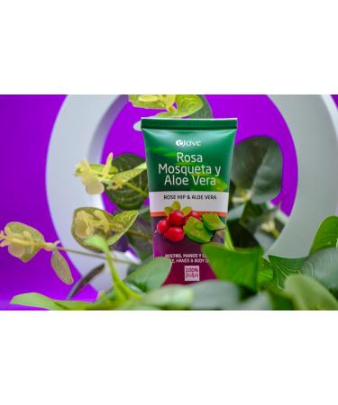 Ejove Rosehip and Aloe Vera Cream 50 ml Regenerating Natural Cream for Face Hands and Body Scar cream AntiStretch Marks AntiWrinkle Moisturizing Restorative Skin Care - Buy Online on GoSupps.com