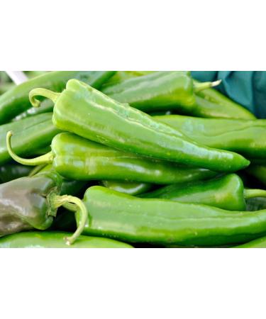Portal Cool 25 Semi Hot Peppers Variet : Anaheim Hot Chili Pepper semi di Grano Korn