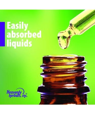 Heavenly Herbals Ashoka Q Mother Tincture - Natural Uterine Tonic for Healthy Menstruation - 2.0 fl oz - Made in USA - Buy Online on GoSupps.com