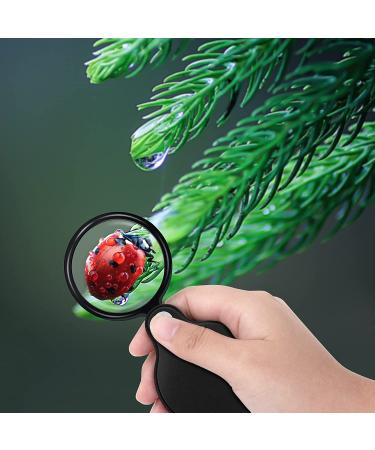 8 Packs 10X Mini Magnifying Glass Folding Pocket Magnifying Glass with Black Rotating Protective for Reading  Books  Jewelryâ¦ - Buy Online on GoSupps.com