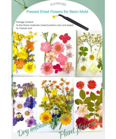 Real Pressed Dry Flowers for Resin Jewelry Molds - Colorful DIY Crafts with Tweezers - Buy Online on GoSupps.com
