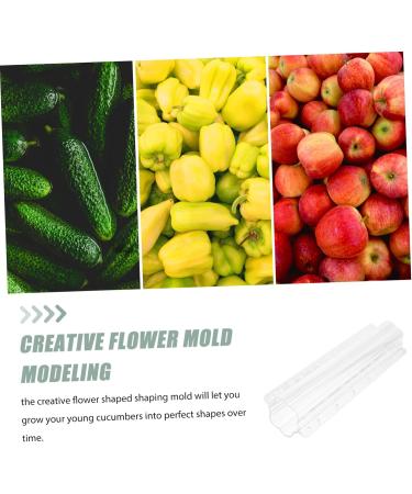 SUPVOX 4 Pcs Fruit and Vegetable Shaping Mold Plant Quincunx - Buy Online on GoSupps.com