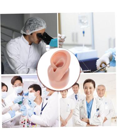Beavorty 3 Pcs Human Ear Model Set | Silicone Ear Models for Studs | Simulation Piercing Ear Display Prop 6.5x3.5cm (Coffee, 3pcs) - Buy Online on GoSupps.com
