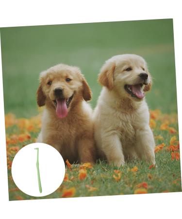 BESPORTBLE 2 Pcs Pet Single Head Toothbrush Brush Dog Toothbrush and Toothpaste Fine Fiber - Buy Online on GoSupps.com