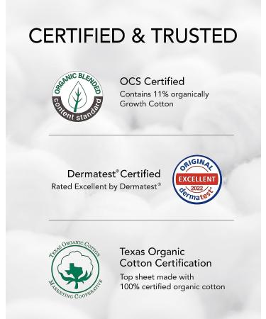 OCBON Organic Cotton Long Pantyliner - Unscented, Chemical-Free (36pcs) - Buy Online on GoSupps.com