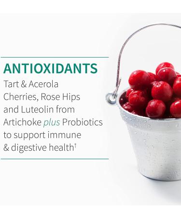 Garden of Life Quercetin Once Daily Immune Support Supplement with Vitamin C, D, Probiotics - 30 Tablets | Dr Formulated for Respiratory & Skin Health - Gluten Free, Non GMO - Buy Online on GoSupps.com
