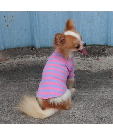 LOPHIPETS 100% Cotton Striped Dog Tee Shirt | Small Dogs Chihuahua Puppy Clothes | Tank Tee-Purple and Pink Strips | L Large 6.5-10 lbs - Buy Online on GoSupps.com
