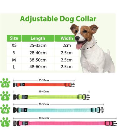 PCEOTLLAR Luminous Dog Collar - Adjustable LED Light Neck Band for All Dog Sizes (Green 28-40cm) - Flashing Reflective Safety Accessory - Buy Online on GoSupps.com