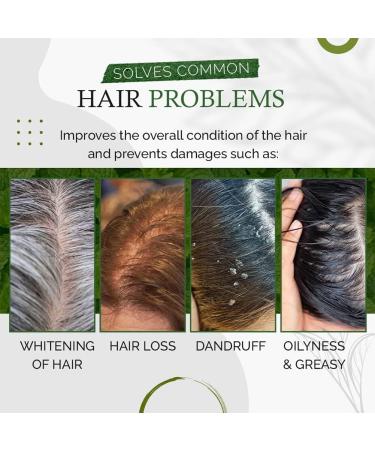 Refresspro Ensemble de shampooing assombrissant pour cheveux gris il Shou Wu bio favorise la croissance des cheveux volumisant et hydratant (1 pi ce) - Buy Online on GoSupps.com