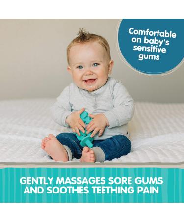 Chewbeads - Chewpal - 100% Silicone Teething Toy with Training Brush for Infants  Babies & Toddlers - Textured Baby Teether - Medical Grade Silicone  BPA Free & Phthalate Free Butterfly - Buy Online on GoSupps.com