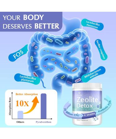 All-in-One Zeolite Detox | Clinoptilolite Zeolite Powder Supplement with Probiotics & Prebiotics | Gut, Energy & Immune | High Absorption, Micronized & Activated Vegan, 100 Servings 10.58 Ounce (Pack of 1) - Buy Online on GoSupps.com