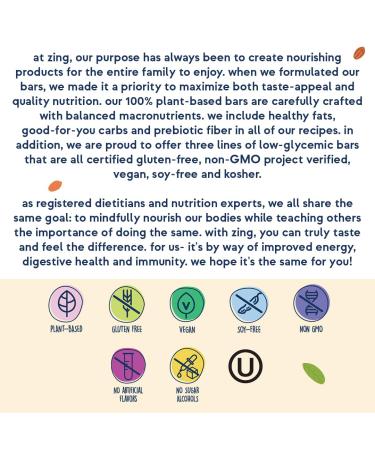 Buy Zing Oatmeal Chocolate Chip Kids Protein Bars - Gluten Free 100 Calorie Vegan Nutrition Bars High Protein & Low Sugar 18 Count - Buy Online on GoSupps.com