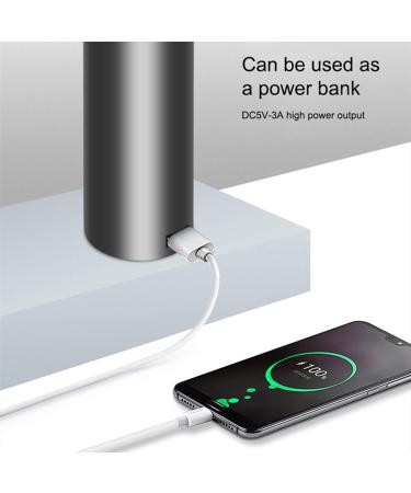 Professional Wireless Hair Dryer Portable Intelligent Cordless Hair Dryer Smart Blow Dryer 12-Mode USB Rechargeable Hair Drier Blower Salon - Buy Online on GoSupps.com