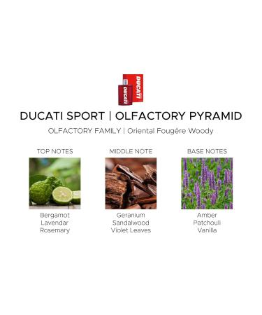 Ducati Sport Shower Gel for Men - Amber Fougere Scent - 10.14 oz | Lavender Bergamot & Sandalwood - Perfect for Active Lifestyles - International Shipping - Buy Online on GoSupps.com