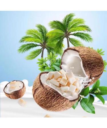 Dried Fruit Coconut Crispy 250g Coconut Crisps Refreshing and Delicious Coconut Flavor - Buy Online on GoSupps.com