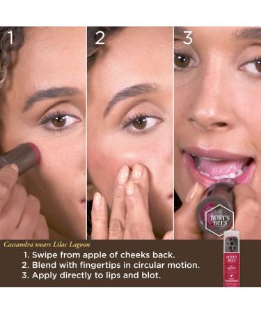 Burt's Bees Peach Pond All Aglow Lip & Cheek Stick 0.32 OZ - Natural Peachy Glow for Lips and Cheeks - Buy Online on GoSupps.com