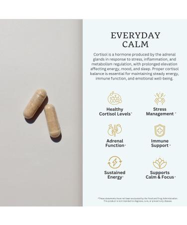 VTC VitaTradingCo. Cortisol Stress Complex | Mushroom & Adaptogenic Herbs Blend | with Clinically Studied Relora & Ashwagandha | Adrenal & Mood Support | 90 Veggie Capsules - Buy Online on GoSupps.com