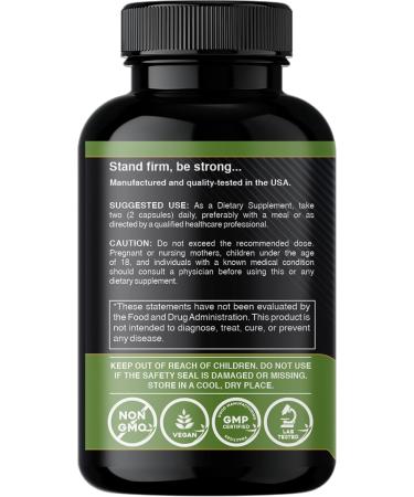 Gade Nutrition Quercetin with Vitamin C and Zinc - Nettle Quercetin - Quercetin 500mg - Quercetin with Bromelain - Zinc Quercetin + Vitamin D3-240 Veggie Caps - Non-GMO - 4 Month Supply 240 Count (Pack of 1) - Buy Online on GoSupps.com