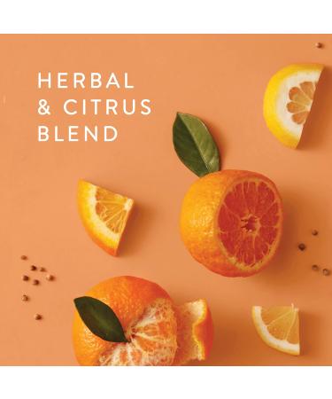 Thymes Large Mandarin Coriander Candle - 16 Oz Scented Candle for Fresh Home Fragrance - Premium Colored Glass Jar - Buy Online on GoSupps.com