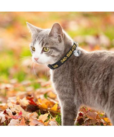 Personalized Black Cat Neck Bands with Bell | Custom Embroidered ID & Safety Buckle for Cats - Buy Online on GoSupps.com