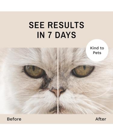 Eye Envy Cat Tear Stain Remover Starter Kit with ProPowder Brush | Solution for Stain Removal and Prevention | Includes Applicator Pads and Small Brush | Lasts 30-45 Days - Buy Online on GoSupps.com