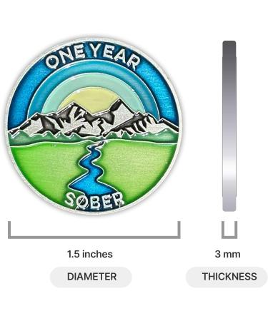 1 Year Sober Token | One Year Sober Chip | Non-AA Gift Non-Religious Medallions for Men and Women Celebrating Sobriety 14. One Year Sober - Buy Online on GoSupps.com
