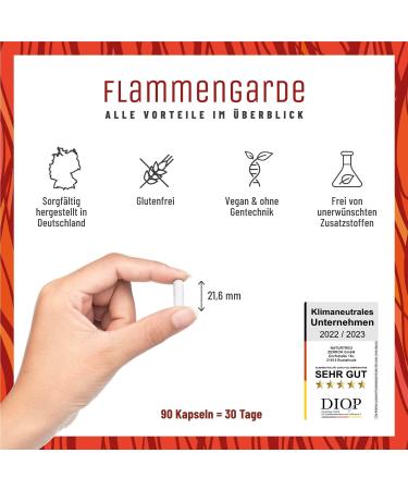 NaturTreu Turmeric Ginger Capsules & MSM Tablets - High Dose with Vitamin C Vegan Laboratory Tested (500mg Boswellia 400mg Curcumin) - Flame Guard & Volcanic Package - Shop Internationally! - Buy Online on GoSupps.com