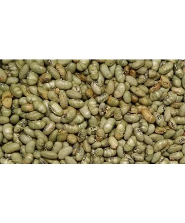 Nutritious Dry Roasted Salted Edamame Beans - Non-GMO, Low-Calorie Vegetarian Snack - 2 lbs. Resealable Bag by Presto Sales LLC - Buy Online on GoSupps.com