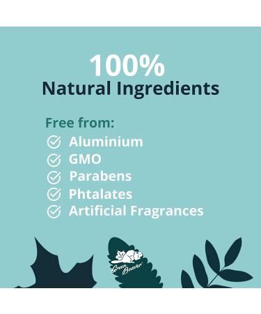 Green Beaver Wild Rose Natural Deodorant Stick - 24 Hour Protection, Aluminum Free, 1.76 Oz - Buy Online on GoSupps.com