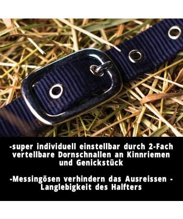 Durable Horse Delinis Halter for Warmbloods Thoroughbreds & Ponies - Adjustable Safe & Tear-Resistant - Perfect for Stables & Pastures - Blue (COB) - Buy Online on GoSupps.com