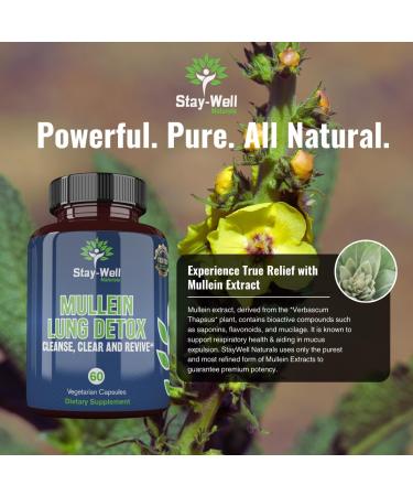 Buy Mullein Lung Detox for Smokers | All-Natural Lung Cleanse for Healthy Breathing | 60 Capsules - International Shipping Available - Buy Online on GoSupps.com