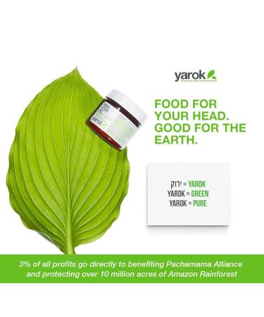 Yarok Feed Your Hair Styling Pomade - Firm Hold Moisturizing Vegan & Cruelty-Free - Perfect for Texturizing & Volumizing - 1.69oz - Buy Online on GoSupps.com