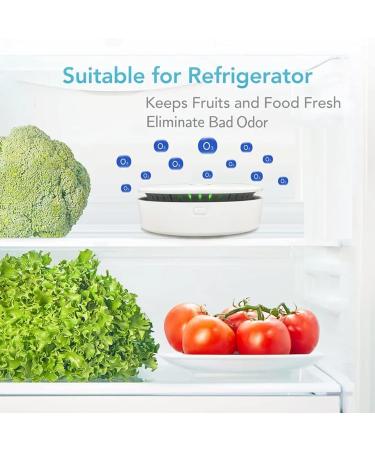 Cat Litter Deodorizer Portable Ozone & Ionic Air Purifier 2 in 1 Eliminate Odor for Home Car Refrigerator Shoe Cabinet Pet Room Hunting Bag White - Buy Online on GoSupps.com
