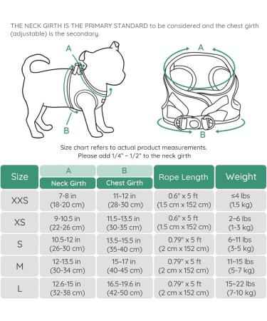 Buy Bella & Pal Dog Harness for Small Dogs - Reflective Breathable Air Mesh with Leash | Step-In Dishes - Cat & Puppy Dishes - Emerald (35-40cm) - Buy Online on GoSupps.com