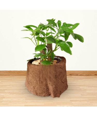Xiaoquexing Coconut Shell Mat | Natural Moisture-Resistant Flower Pot Mat & Reptiles Carpet - 9.84x0.16 Inches - Buy Online on GoSupps.com